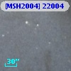 [MSH2004] 22004