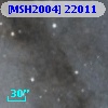 [MSH2004] 22011