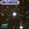 HD 239741