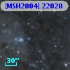[MSH2004] 22020