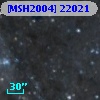 [MSH2004] 22021