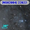 [MSH2004] 22022