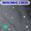 [MSH2004] 23019