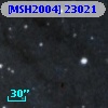 [MSH2004] 23021