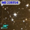 HD 239754