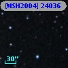 [MSH2004] 24036