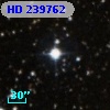 HD 239762