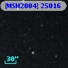 [MSH2004] 25016
