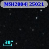 [MSH2004] 25021