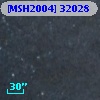 [MSH2004] 32028
