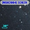 [MSH2004] 32029