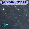 [MSH2004] 32039
