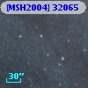 [MSH2004] 32065