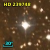 HD 239748