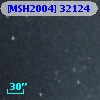 [MSH2004] 32124