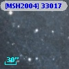 [MSH2004] 33017