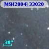 [MSH2004] 33020