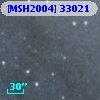 [MSH2004] 33021