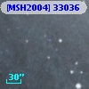 [MSH2004] 33036