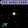 TYC 4262-1240-1