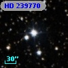HD 239770