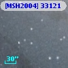 [MSH2004] 33121