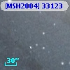 [MSH2004] 33123