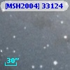 [MSH2004] 33124