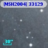 [MSH2004] 33129