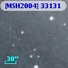 [MSH2004] 33131