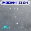 [MSH2004] 33134