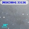 [MSH2004] 33136