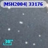 [MSH2004] 33176