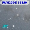 [MSH2004] 33190