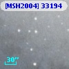 [MSH2004] 33194