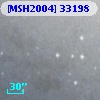 [MSH2004] 33198