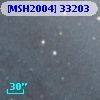 [MSH2004] 33203