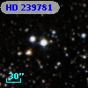 HD 239781