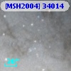 [MSH2004] 34014