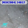 [MSH2004] 34017