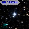 HD 239784
