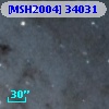 [MSH2004] 34031