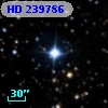 HD 239786