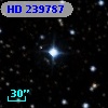HD 239787