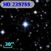 HD 239788