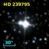 HD 239795