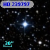 HD 239797