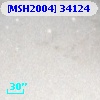 [MSH2004] 34124