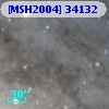 [MSH2004] 34132