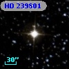 HD 239801